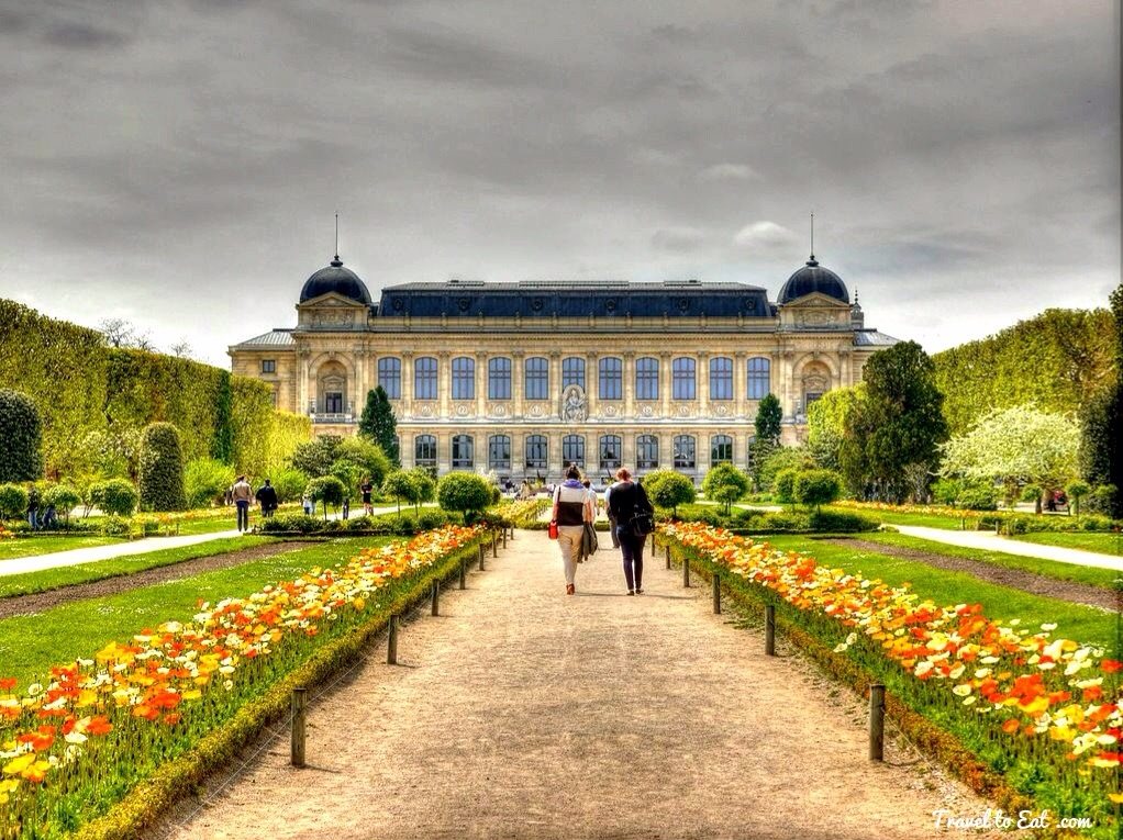 Jardin De Plantes Paris