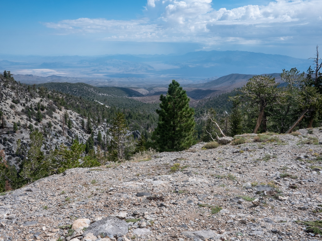 View from Mount Charleston