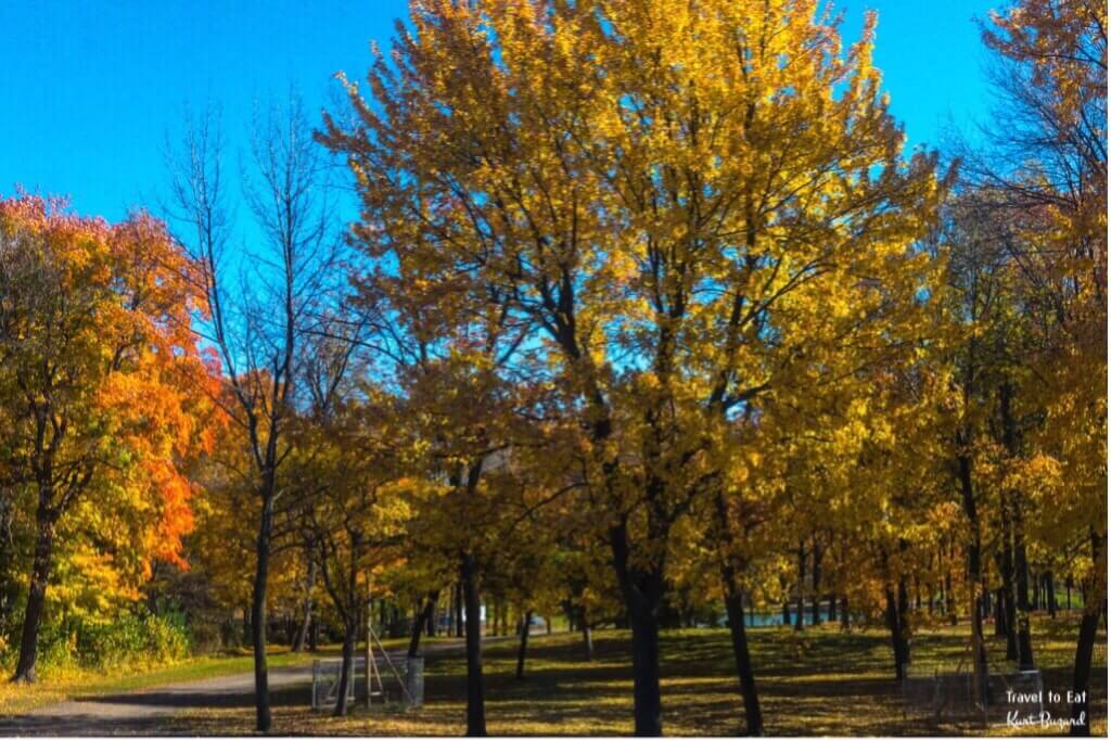 Beaver Lake on Mount Royal. Montréal