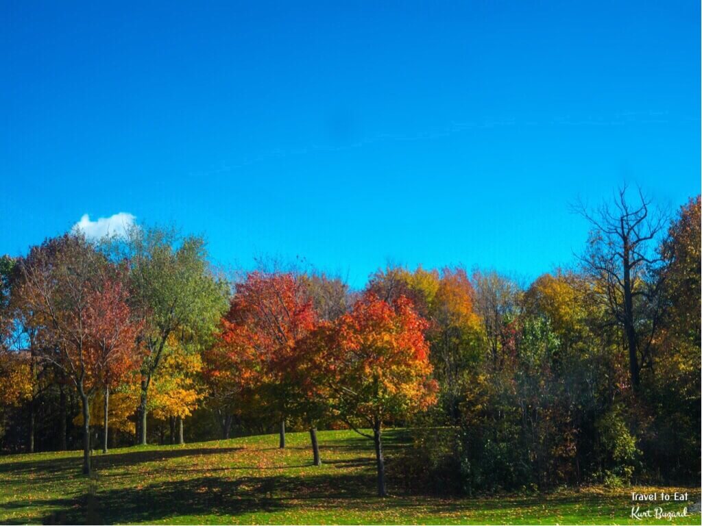 Fall Foliage on Mount Royal. Montréal