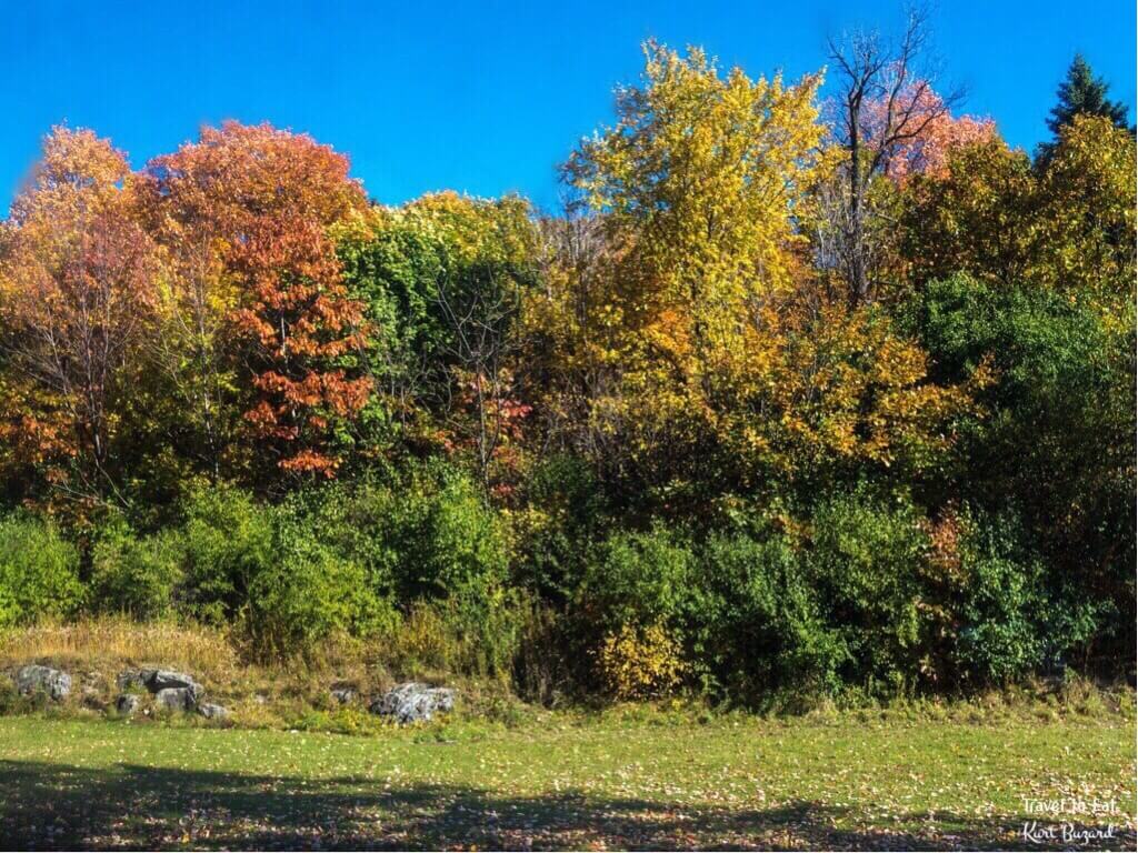 Fall Foliage on Mount Royal. Montréal