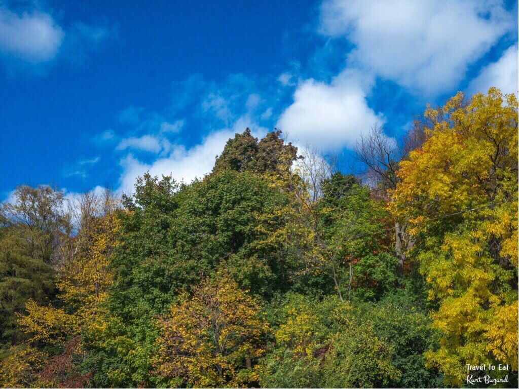 Fall Foliage on Mount Royal. Montréal