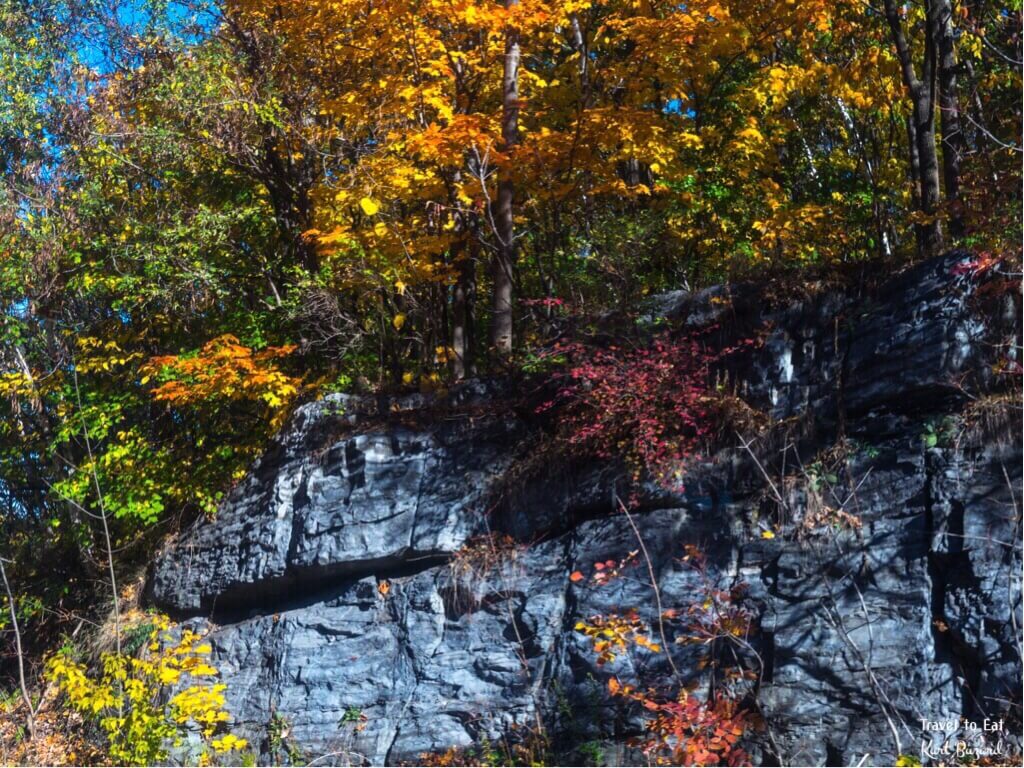 Fall Foliage on Mount Royal. Montréal