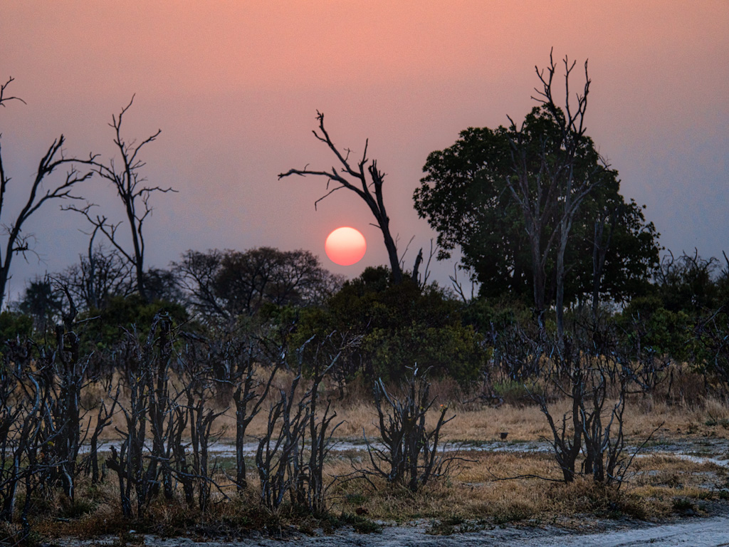 Sunset in the Kalahari