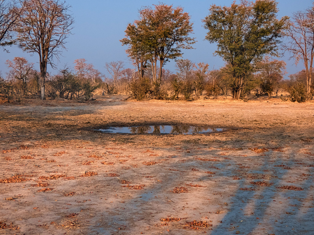 Watering Hole in Linyanti