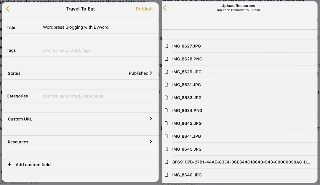 Publish and Resource Panels
