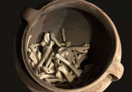 Cooking Pot with Chicken Bones