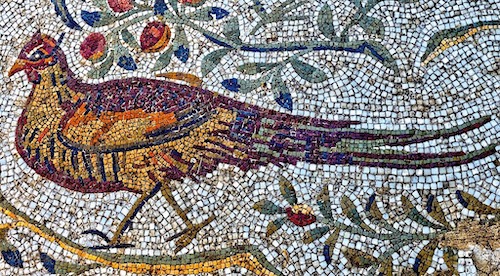 Common Pheasant, Villa of the Aviary, Carthage, Tunisia © David Tipling