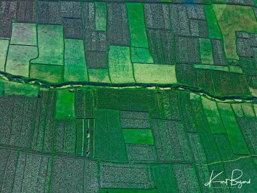 Rice Fields of Antananarivo Madagascar