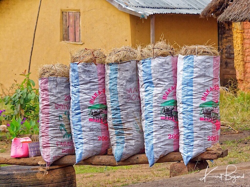 Bags of Charcoal Waiting to be Purchased