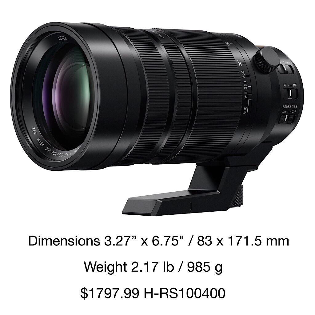 Panasonic Leica DG Vario-Elmar 100-400mm f/4-6.3 ASPH. Power OIS Lens