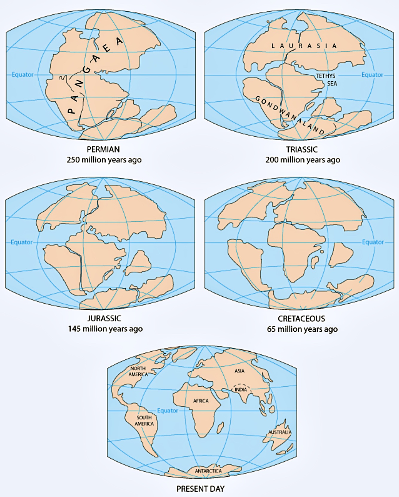 Separation of the Supercontinents Pangaea and Gondwana Timeline