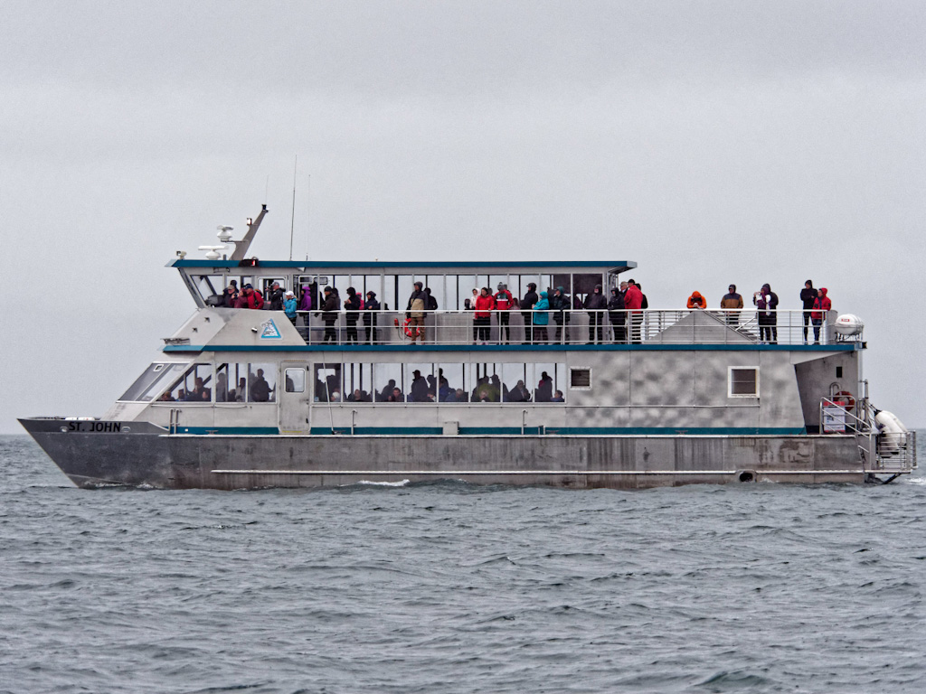 Whale Watching Boat