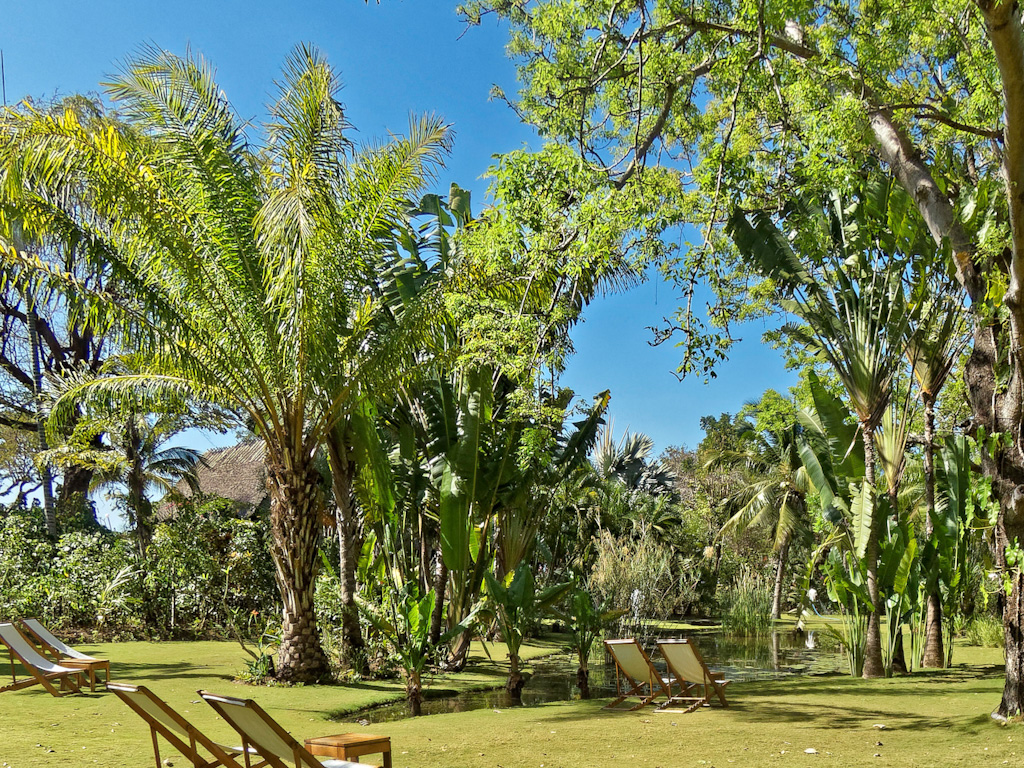 Triangle Palm (Dypsis decaryi) left, Elephant Ears (Alocasia macrorrhizos) in Water Center, Travelers Palm (Ravenala madagascariensis) right. Anjajavy Lodge, Madagascar