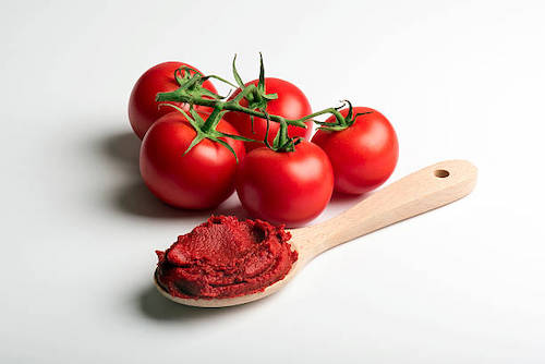 Tomato Paste