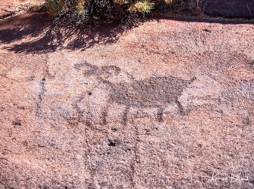 Ancient Petroglyph of Bighorn Sheep. Little Petroglyph Canyon, China Lake California