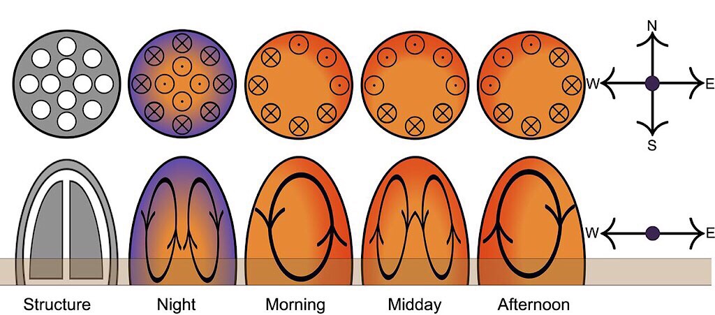 Schematic of the Thermal/Airflow Schedule of a African Termite Mound in Namibia Viewed from the Top and the Side. Ocko et al/Journal of Experimental Biology