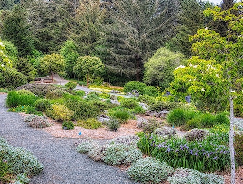 Humbolt Botanical Garden