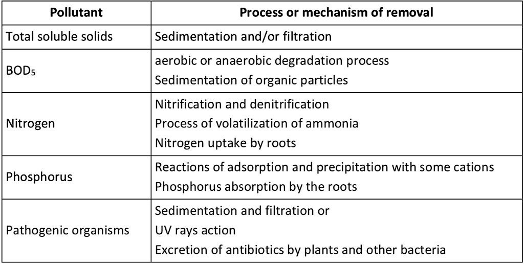 Typical Mechanism of Pollution Removal: Biological Oxygen Demand (BOD) is used as an index of the degree of organic pollution in water