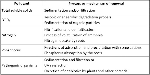 Typical Mechanism of Pollution Removal: Biological Oxygen Demand (BOD) is used as an index of the degree of organic pollution in water