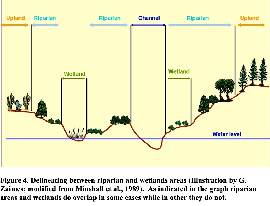 Riparian, Wetlands and Uplands