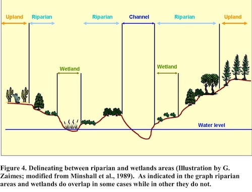 Riparian, Wetlands and Uplands