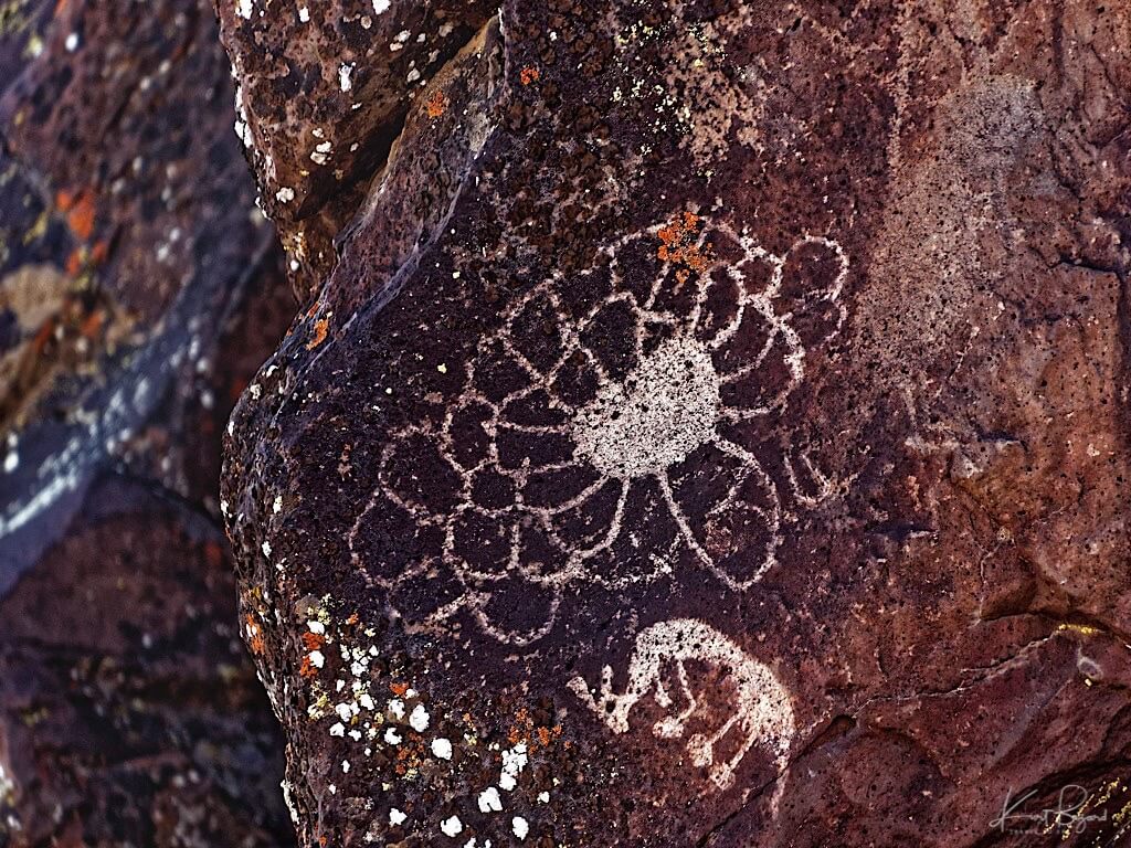 Togu (Native American Dog) (Canis lupus familiaris) Training Petroglyph. Little Petroglyph Canyon, China Lake, California
