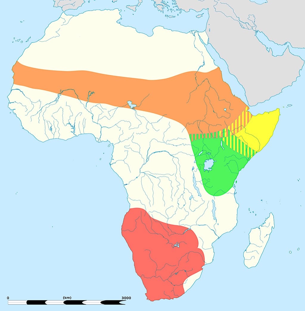 South African Ostriches (red) North African Ostrich (orange) Masai Ostrich (green) Somali Ostrich (yellow). Wikipedia